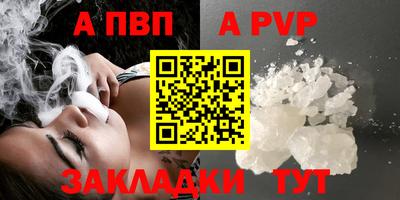 гидра Кингисепп