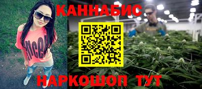 индика Кинель