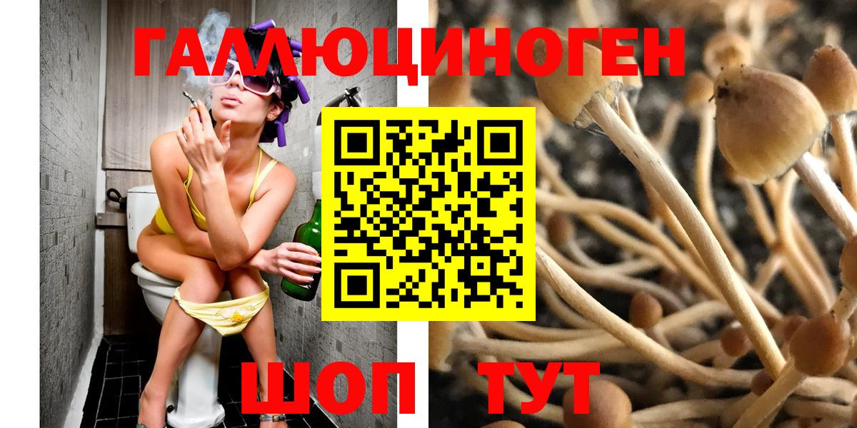 сколько стоит  Галлюциногенные грибы мицелий  Вход с VPN  Касимов 